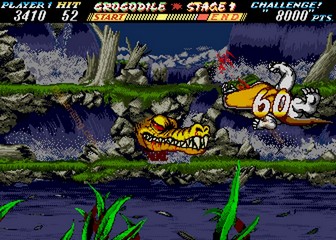 image de The First Funky Fighter